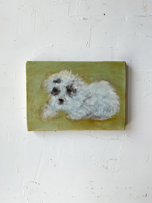 SMALL DOG